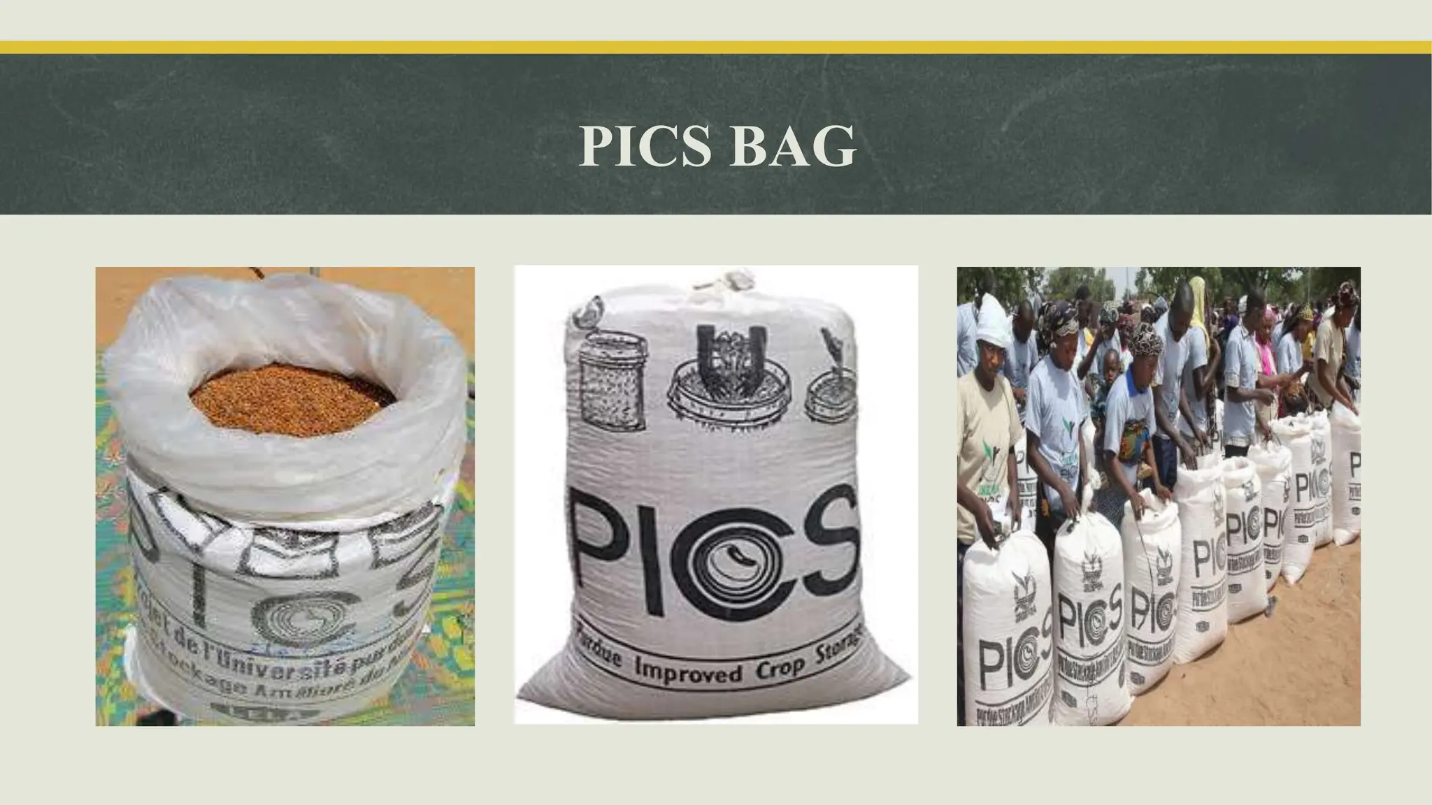 COVER AND PLINTH STORAGE SYSTEM USED IN FOOD.pptx