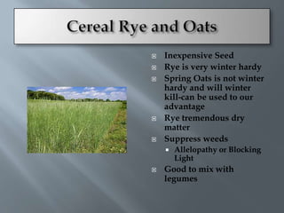    Inexpensive Seed
   Rye is very winter hardy
   Spring Oats is not winter
    hardy and will winter
    kill-can be used to our
    advantage
   Rye tremendous dry
    matter
   Suppress weeds
       Allelopathy or Blocking
        Light
   Good to mix with
    legumes
 