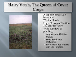    A lot of biomass-2-3
    tons/acre
   Winter Hardy
   High Nitrogen Fixation-
    100 plus lbs/acre
   Wide window of
    planting
     August-mid October
     March
     Hard Seed, late
      maturing
     Problem When Wheat
      is in the Rotation
 
