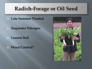    Late Summer Planted

   Sequester Nitrogen

   Loosen Soil

   Weed Control?
 
