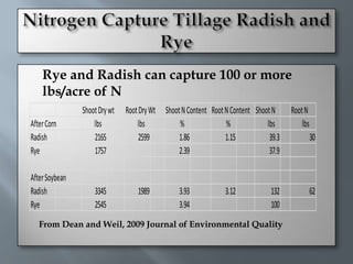    Rye and Radish can capture 100 or more
    lbs/acre of N
                Shoot Dry wt   Root Dry Wt Shoot N Content Root N Content Shoot N     Root N
After Corn          lbs            lbs          %               %             lbs         lbs
Radish              2165            2599        1.86            1.15           39.3             30
Rye                 1757                        2.39                           37.9

After Soybean
Radish              3345           1989          3.93           3.12            132             62
Rye                 2545                         3.94                           100
    From Dean and Weil, 2009 Journal of Environmental Quality
 