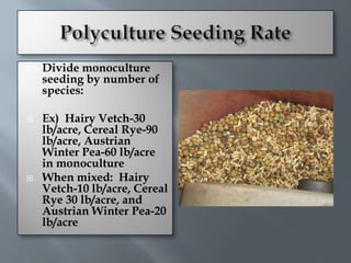    Divide monoculture
    seeding by number of
    species:

   Ex) Hairy Vetch-30
    lb/acre, Cereal Rye-90
    lb/acre, Austrian
    Winter Pea-60 lb/acre
    in monoculture
   When mixed: Hairy
    Vetch-10 lb/acre, Cereal
    Rye 30 lb/acre, and
    Austrian Winter Pea-20
    lb/acre
 