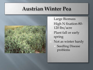    Large Biomass
   High N fixation-80-
    120 lbs/acre
   Plant fall or early
    spring
   Not as winter hardy
       Seedling Disease
        problems
 