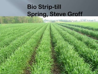 Bio Strip-till
Spring, Steve Groff
 