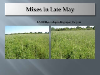 2-5,000 lb/are depending upon the year
 