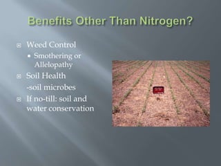    Weed Control
       Smothering or
        Allelopathy
   Soil Health
    -soil microbes
   If no-till: soil and
    water conservation
 