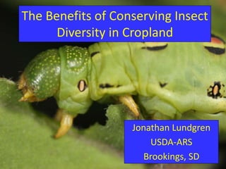 The Benefits of Conserving Insect
Diversity in Cropland
Jonathan Lundgren
USDA-ARS
Brookings, SD
 