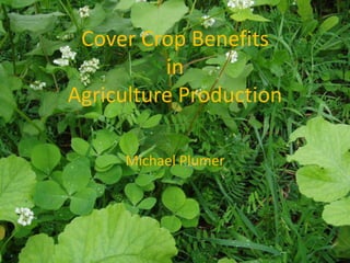 Cover Crop Benefits
in
Agriculture Production
Michael Plumer
 