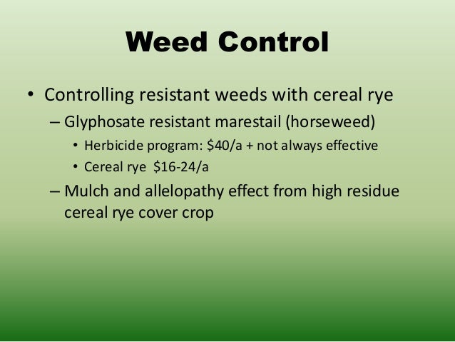 cover crops for pest management and weed suppression plumer cover crop seeding rate chart