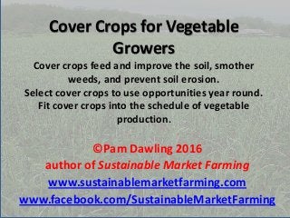 Cover crops for vegetable growers Pam Dawling