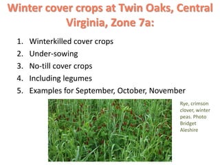Reliable cover crops at Twin Oaks,
Central Virginia, Zone 7a
Winter cover crops
Grasses:
• Spring Oats
• Winter Wheat
• Wi...