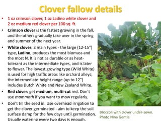 Clover fallow details
• 1 oz crimson clover, 1 oz Ladino white clover and
2 oz medium red clover per 100 sq ft.
• Crimson ...