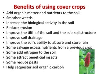 So many possible cover crops
to choose from!
No single solution suits all situations and all times
of year – make careful...