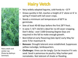 Cautions about no-till planting
o Cold-hardy cover crops need time in spring to grow to
optimal size before mowing - not s...