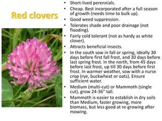 Hairy Vetch Benefits and Challenges
Benefits:
 Drought tolerant once
established.
 Suppresses yellow nutsedge,
lambsquar...
