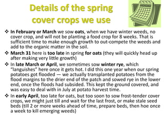 Late spring and summer cover
crops at Twin Oaks
 In late April (close to our average last frost), we sow frost-tender
cov...