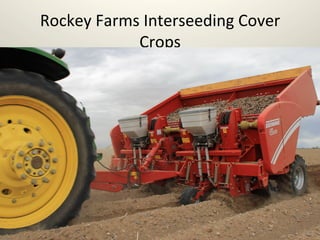 Rockey	
  Farms	
  Interseeding	
  Cover	
  
Crops	
  
 