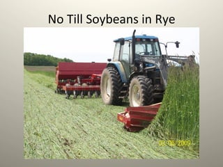 No	
  Till	
  Soybeans	
  in	
  Rye	
  
 