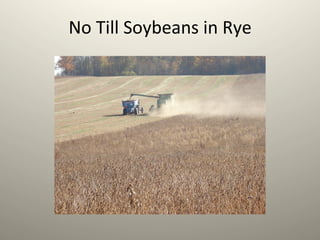 No	
  Till	
  Soybeans	
  in	
  Rye	
  
 