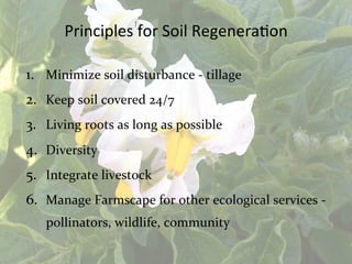 Principles	
  for	
  Soil	
  Regenera1on	
  
1.  Minimize	
  soil	
  disturbance	
  -­‐	
  tillage	
  
2.  Keep	
  soil	
  covered	
  24/7	
  
3.  Living	
  roots	
  as	
  long	
  as	
  possible	
  
4.  Diversity	
  
5.  Integrate	
  livestock	
  
6.  Manage	
  Farmscape	
  for	
  other	
  ecological	
  services	
  -­‐	
  
pollinators,	
  wildlife,	
  community	
  	
  
 