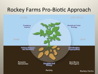 Rockey	
  Farms	
  Pro-­‐Bio1c	
  Approach	
  
Rockey	
  Farms	
  
 