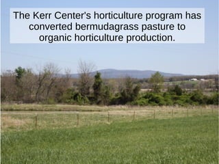 The Kerr Center's horticulture program
operates in fields originally converted –
organically! – from bermudagrass
pasture.
 