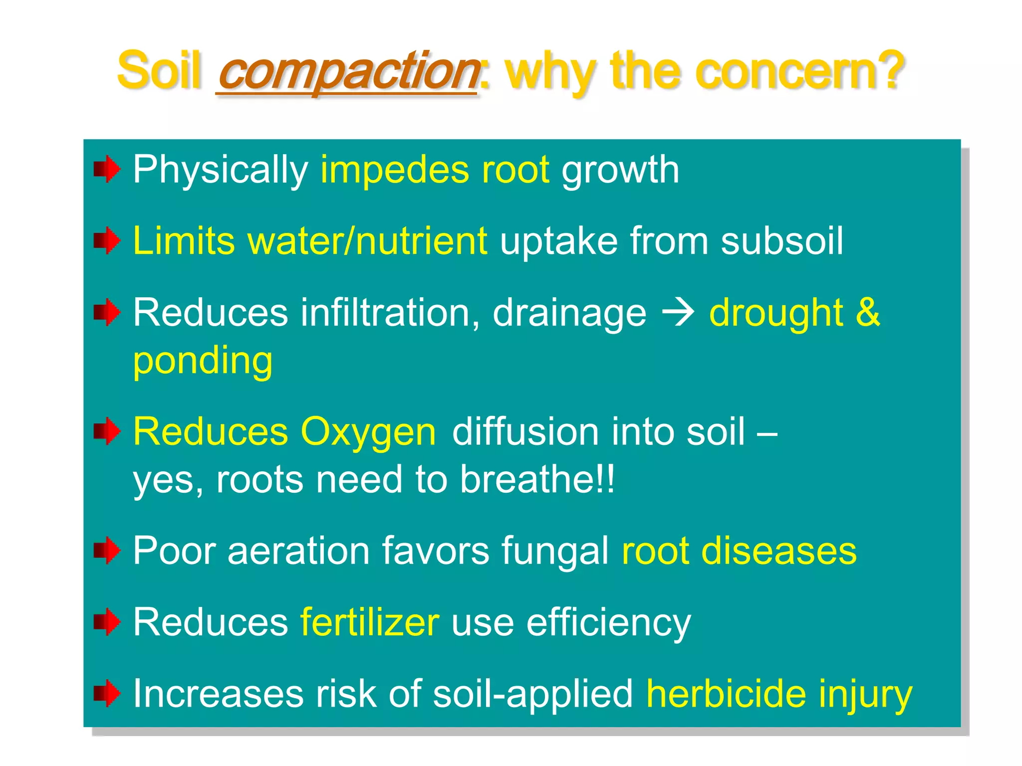 Cover crops & soil compaction | PPTX