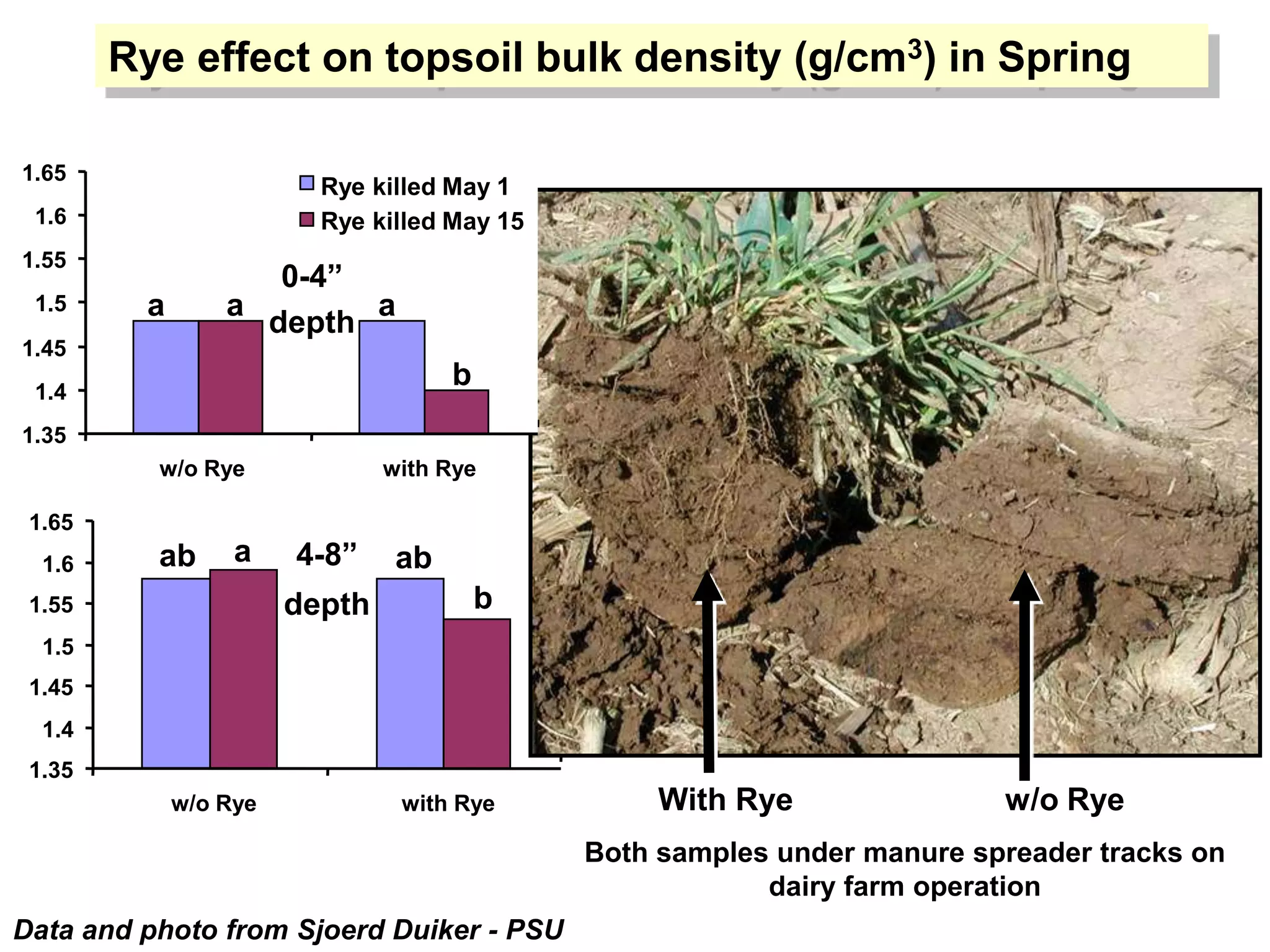Cover crops & soil compaction