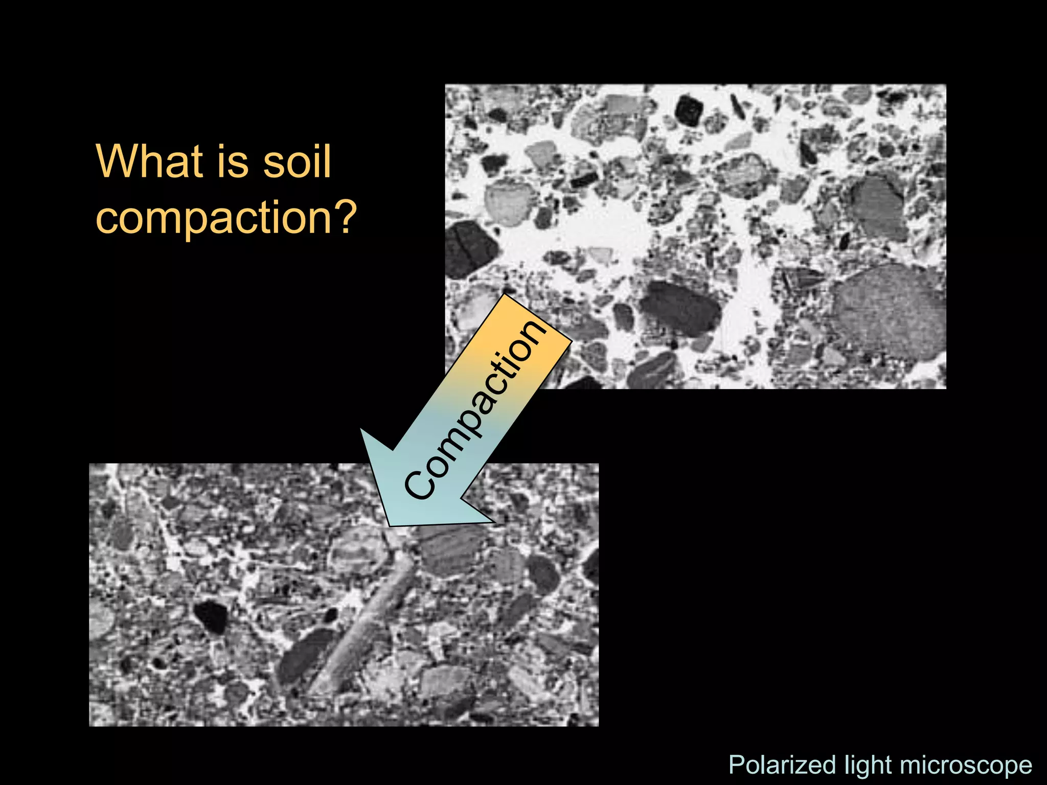 Cover crops & soil compaction