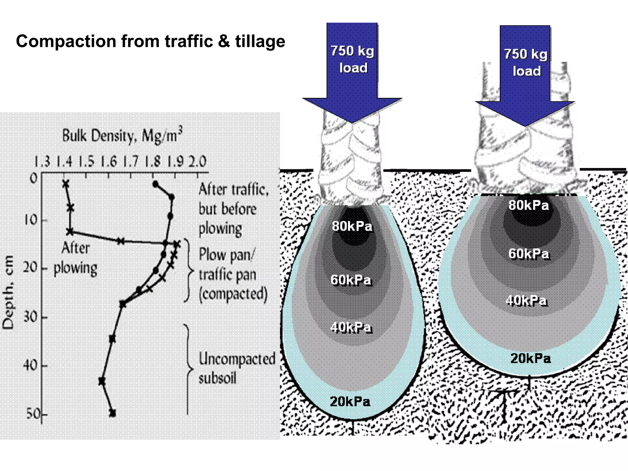 Cover crops & soil compaction