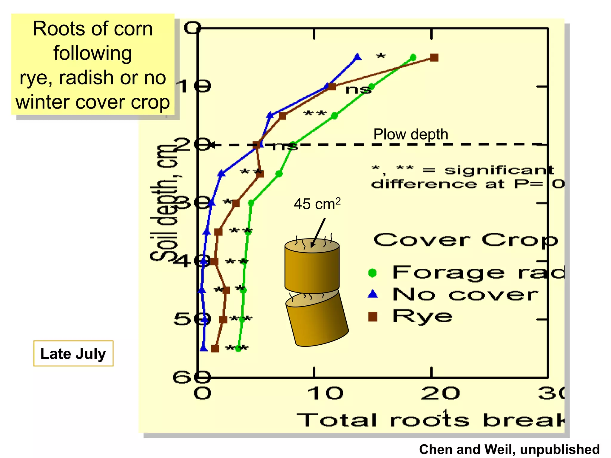 Cover crops & soil compaction