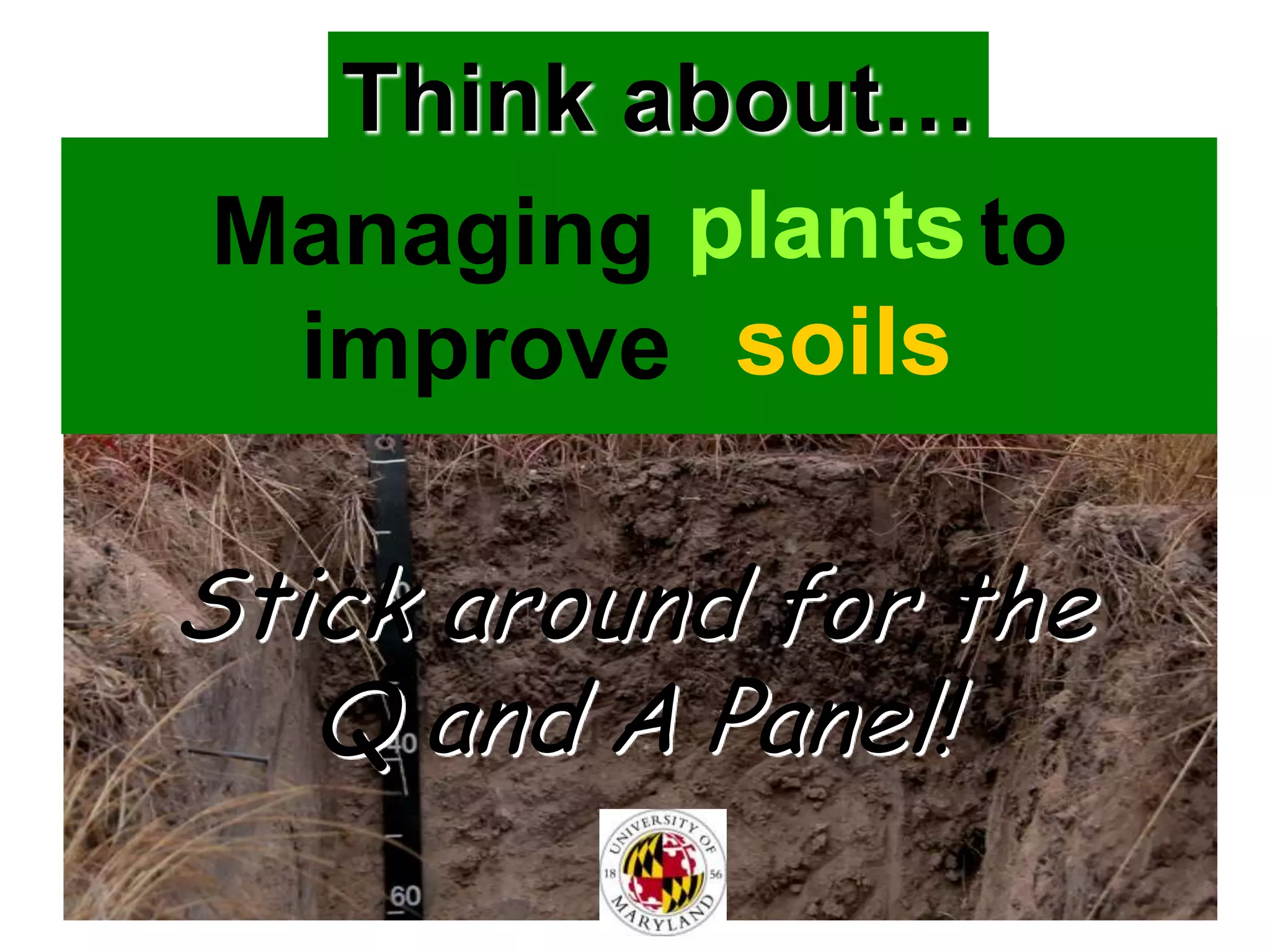Cover crops & soil compaction