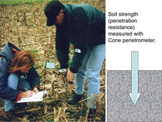 Soil strength
(penetration
resistance)
measured with
Cone penetrometer.
 