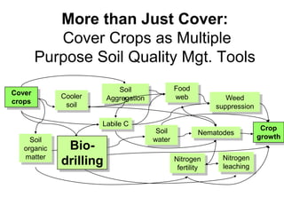 More than Just Cover:
           Cover Crops as Multiple
        Purpose Soil Quality Mgt. Tools
                            Soil               Food
Cover        Cooler      Aggregation           web             Weed
crops         soil                                          suppression

                      Labile C
                                        Soil                               Crop
                                                       Nematodes
     Soil                              water                              growth
               Bio-
   organic     Bio-
              drilling
   matter                                                     Nitrogen
             drilling                          Nitrogen
                                                fertility     leaching
 