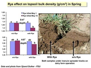 Rye effect on topsoil bulk density (g/cm3) in Spring

1.65
                         Rye killed May 1
 1.6                     Rye killed May 15
1.55
                    0-4”
 1.5     a       a       a
                   depth
1.45
 1.4
                                     b
1.35
          w/o Rye              with Rye

 1.65
  1.6     ab      a    4-8”     ab
 1.55                  depth             b
  1.5
 1.45
  1.4
 1.35
             w/o Rye            with Rye          With Rye               w/o Rye
                                             Both samples under manure spreader tracks on
                                                         dairy farm operation
Data and photo from Sjoerd Duiker - PSU
 