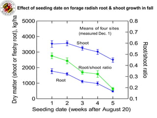 Effect of seeding date on forage radish root & shoot growth in fall
Dry matter (shoot or fleshy root), kg/ha
                                           5000                                            0.8
                                                                   Means of four sites
                                                                  (measured Dec. 1)        0.7
                                           4000
                                                                 Shoot                     0.6




                                                                                                 Root/shoot ratio
                                           3000                                            0.5

                                           2000                   Root/shoot ratio         0.4

                                                                                           0.3
                                                       Root
                                           1000
                                                                                           0.2

                                              0                                            0.1
                                                    1     2    3     4     5
                                              Seeding date (weeks after August 20)
 