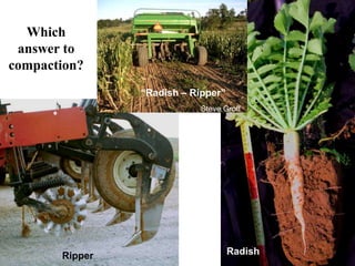 Which
 answer to
compaction?
                “Radish – Ripper”
                            Steve Groff




       Ripper                       Radish
 