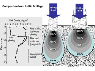 Compaction from traffic & tillage
 