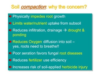 Soil compaction: why the concern?
Physically impedes root growth
Limits water/nutrient uptake from subsoil
Reduces infiltration, drainage  drought &
ponding
Reduces Oxygen diffusion into soil –
yes, roots need to breathe!!
Poor aeration favors fungal root diseases
Reduces fertilizer use efficiency
Increases risk of soil-applied herbicide injury
 