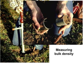 Measuring
bulk density
 