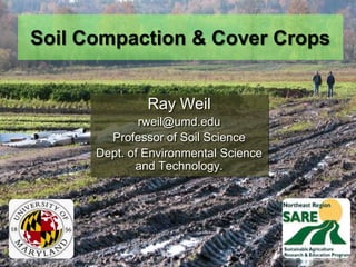 Soil Compaction & Cover Crops


               Ray Weil
              rweil@umd.edu
        Professor of Soil Science
    ...
