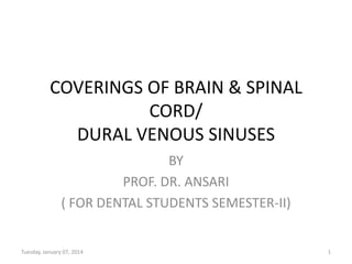 COVERINGS OF BRAIN & SPINAL
CORD/
DURAL VENOUS SINUSES
BY
PROF. DR. ANSARI
( FOR DENTAL STUDENTS SEMESTER-II)

Tuesday, January 07, 2014

1

 
