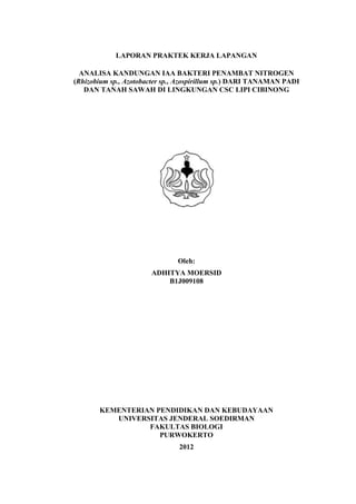 LAPORAN PRAKTEK KERJA LAPANGAN

  ANALISA KANDUNGAN IAA BAKTERI PENAMBAT NITROGEN
(Rhizobium sp., Azotobacter sp., Azospirillum sp.) DARI TANAMAN PADI
   DAN TANAH SAWAH DI LINGKUNGAN CSC LIPI CIBINONG




                               Oleh:
                       ADHITYA MOERSID
                           B1J009108




       KEMENTERIAN PENDIDIKAN DAN KEBUDAYAAN
          UNIVERSITAS JENDERAL SOEDIRMAN
                 FAKULTAS BIOLOGI
                    PURWOKERTO
                               2012
 