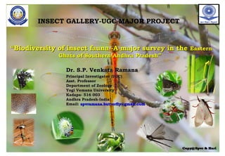 ““Biodiversity of insect fauna -A major survey in theBiodiversity of insect fauna -A major survey in the EasternEastern
Ghats of Southern Andhra Pradesh”Ghats of Southern Andhra Pradesh”
INSECT GALLERY-UGC MAJOR PROJECT
Dr. S.P. Venkata RamanaDr. S.P. Venkata Ramana
Principal Investigator (UGC)Principal Investigator (UGC)
Asst. ProfessorAsst. Professor
Department of ZoologyDepartment of Zoology
Yogi Vemana UniversityYogi Vemana University
Kadapa- 516 003Kadapa- 516 003
Andhra Pradesh-IndiaAndhra Pradesh-India
Email:Email: spvramana.butterfly@gmail.comspvramana.butterfly@gmail.com
 
