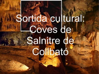 Sortida cultural:
Coves de
Salnitre de
Collbató
 