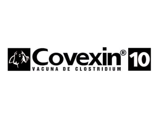 Covexin 10 monocromatico MSD Finca Productiva Salud Del Hato