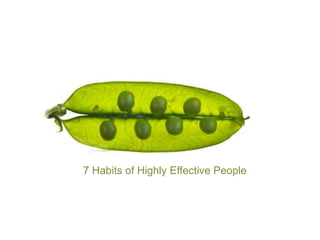 7 Habits of Highly Effective People
 