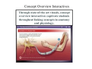 Concept Overview Interactives
Through state-of-the art visuals, concept
overview interactives captivate students
throughout linking concepts in anatomy
and physiology.
 