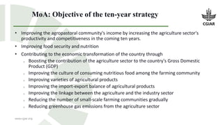 CGIAR in Ethiopia, transition and global perspectives: Transforming food, land and water systems in a climate crisis 