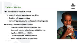 CGIAR in Ethiopia, transition and global perspectives: Transforming food, land and water systems in a climate crisis 